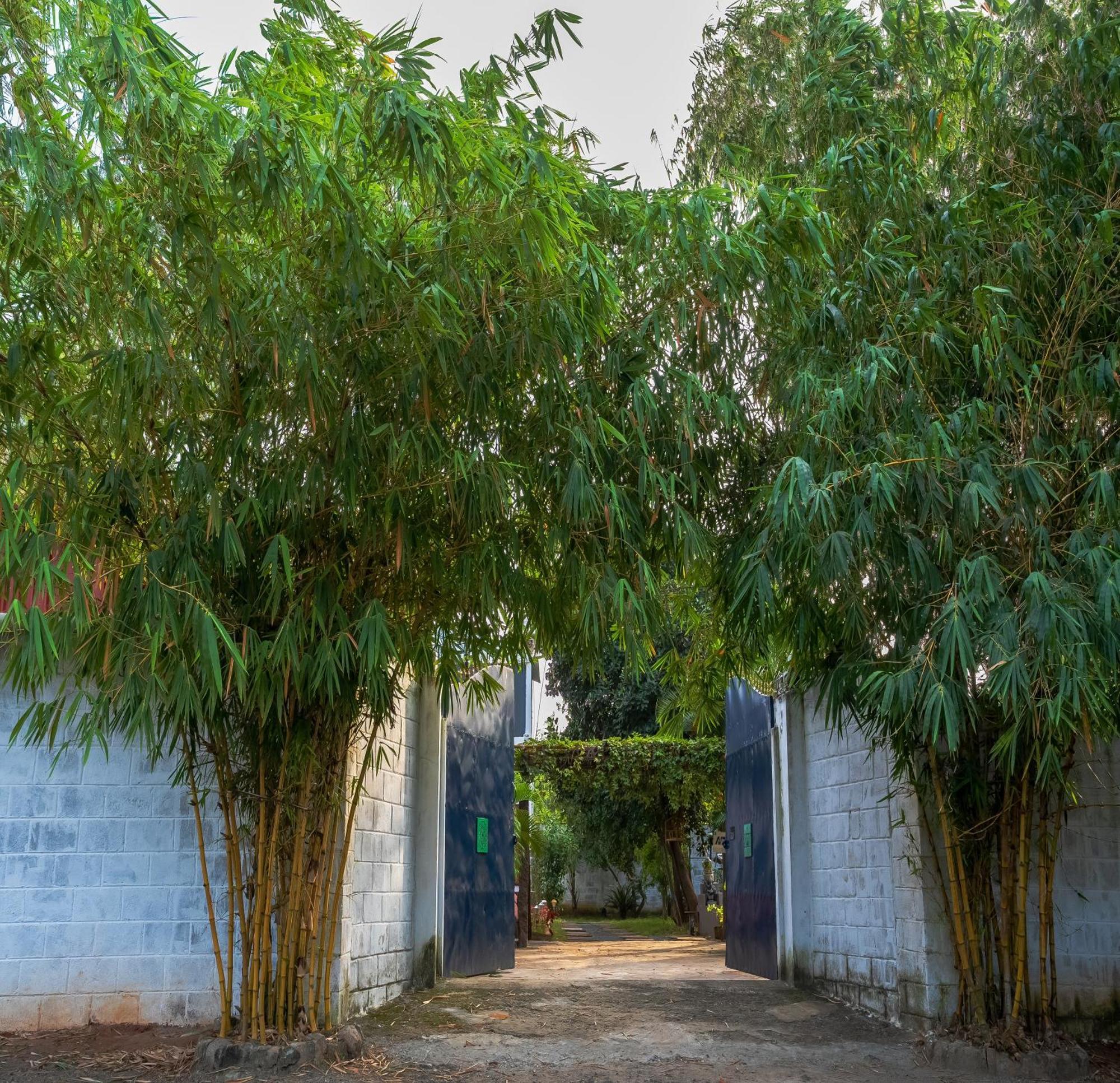 Ntr Garden Otel Auroville Dış mekan fotoğraf